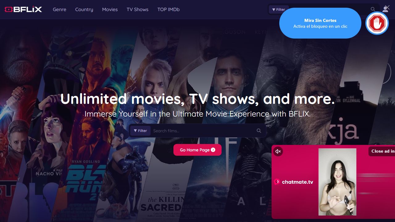 BFLIX screenshot preview